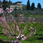 Farm stay Villa Fermi - Firenze Rignano Sull Arno
