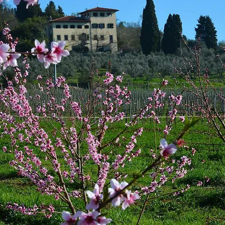 Farmház Dei Sogni Rignano sullʼArno